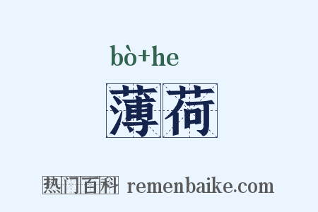 薄荷是什么意思的图片